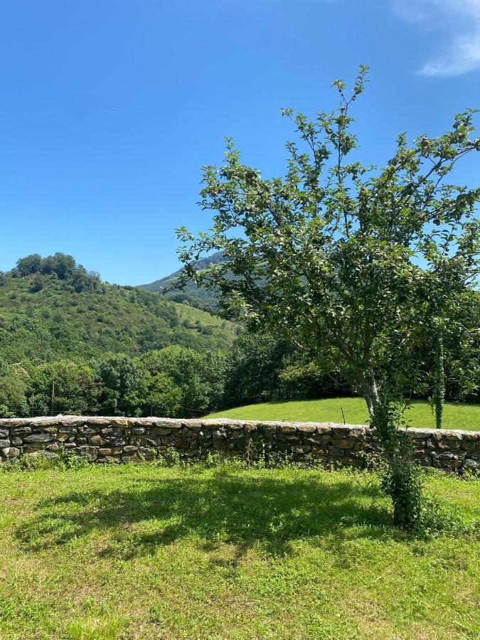 Casa Rural Laurenea Otsango Auzoa Dış mekan fotoğraf