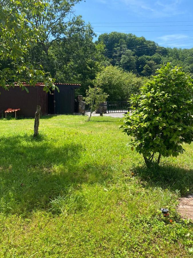 Casa Rural Laurenea Otsango Auzoa Dış mekan fotoğraf